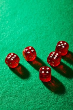 Live Casino Game 